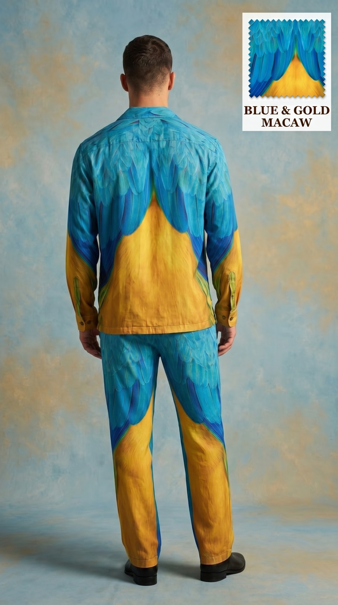 Blue-Gold Macaw Set
