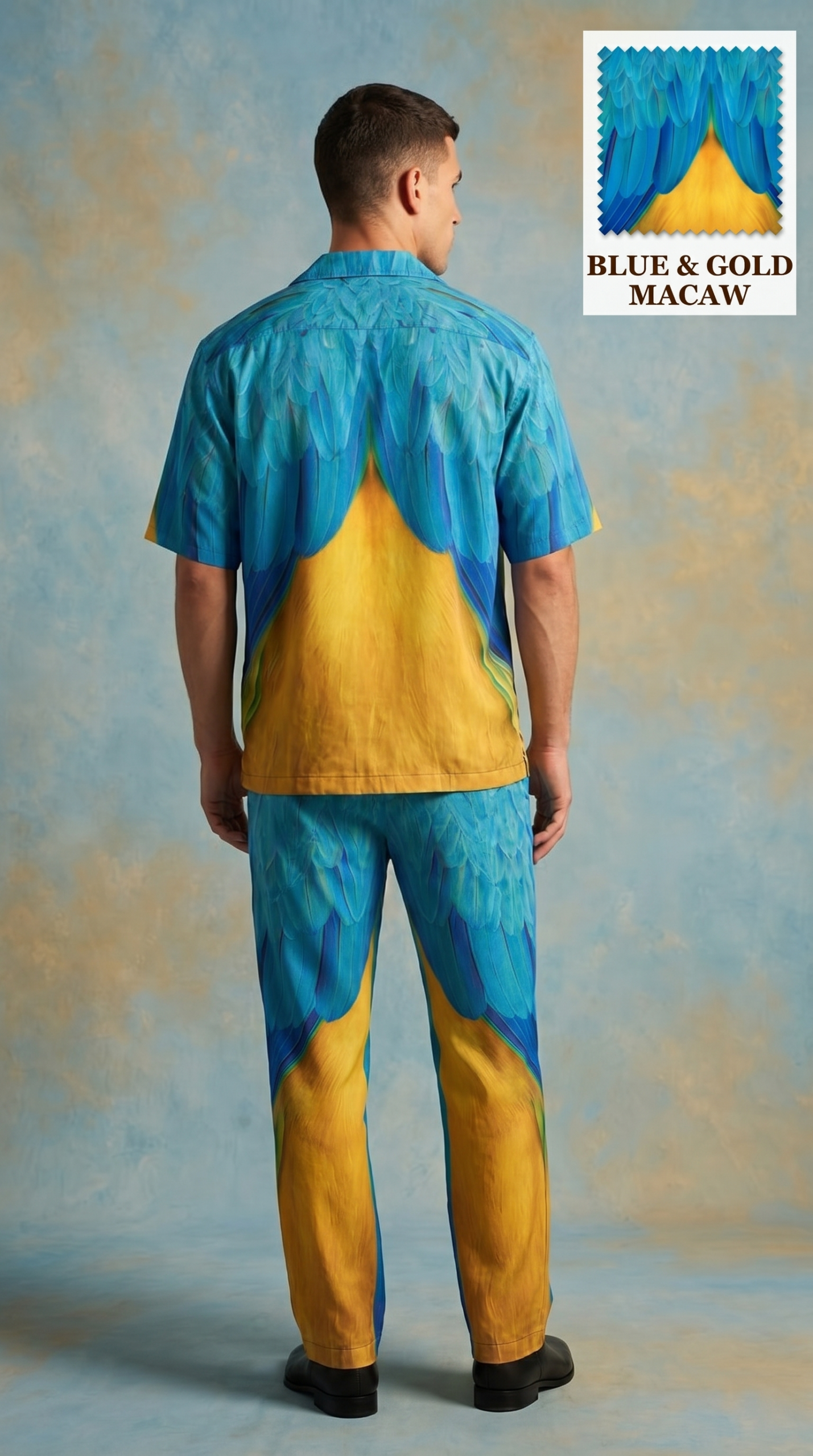 Blue Gold Macaw Set